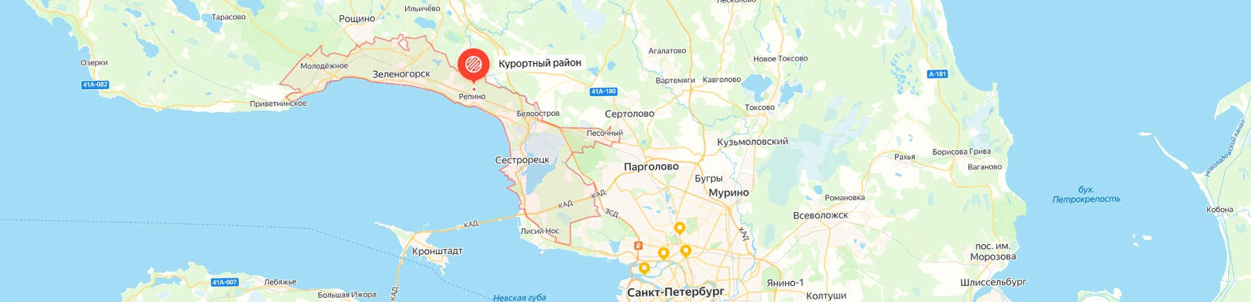 Ремонт компьютера в Курортном районе